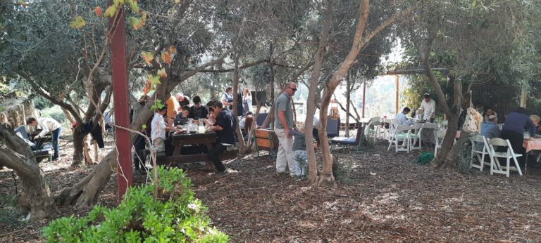המקום והמשק