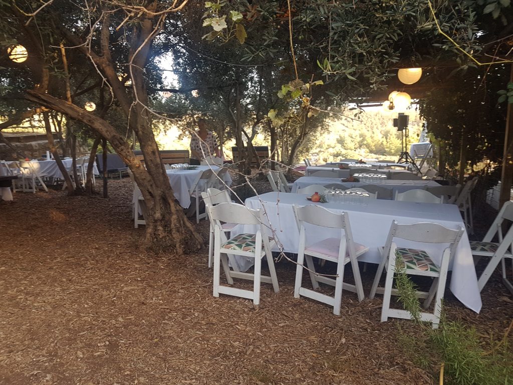 שולחנות בין עצי הזית