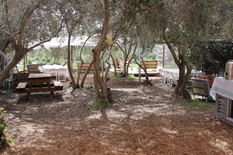 המקום והמשק
