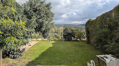 PXL_20260224_125101383