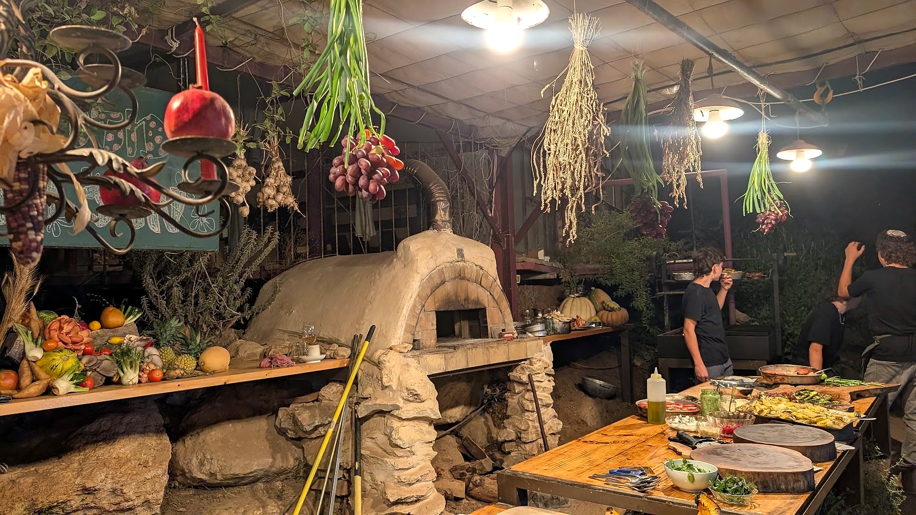הטאבון וצמחים מיובשים